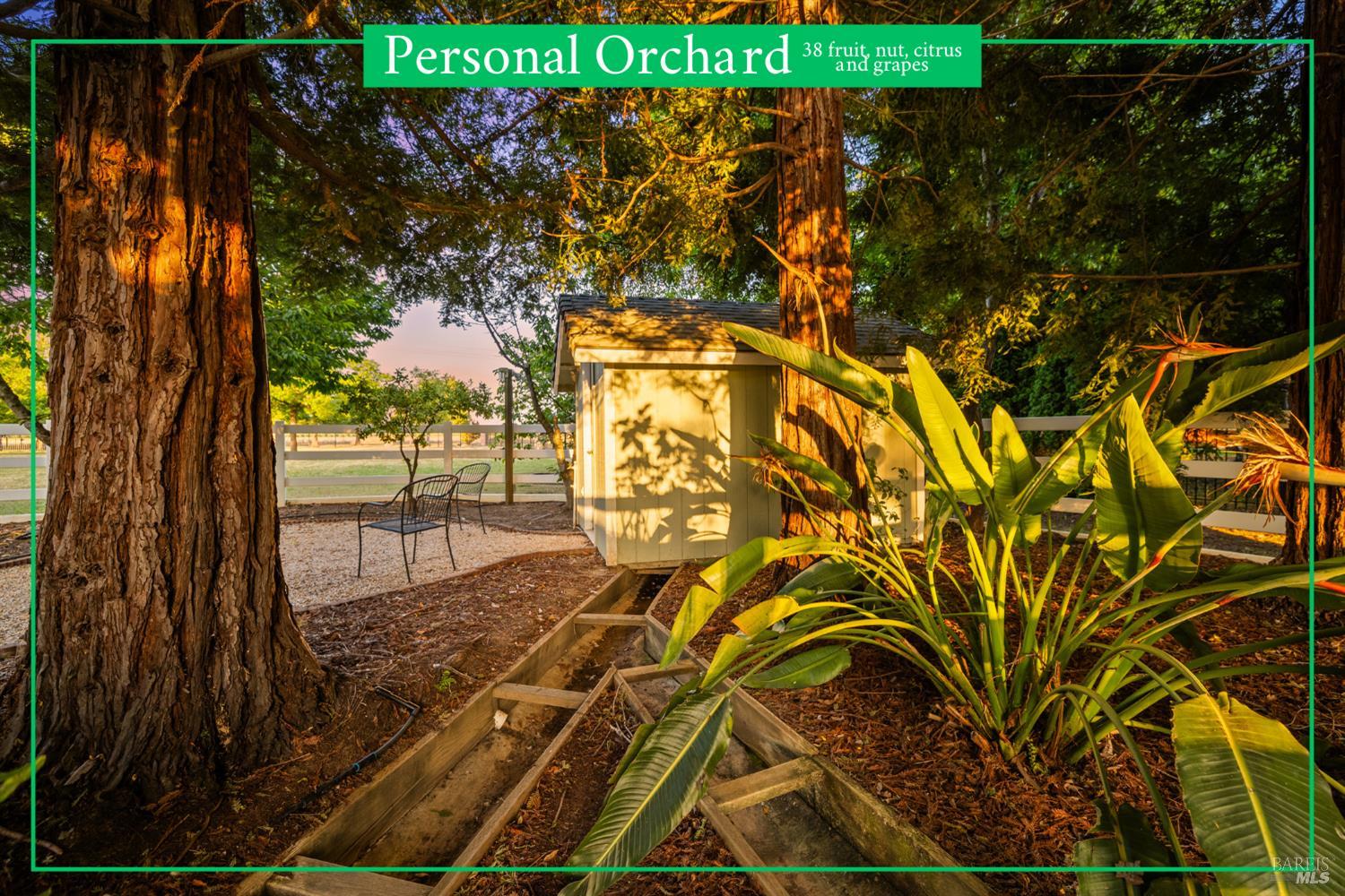 6811 Willow Road Vacaville CA 95687