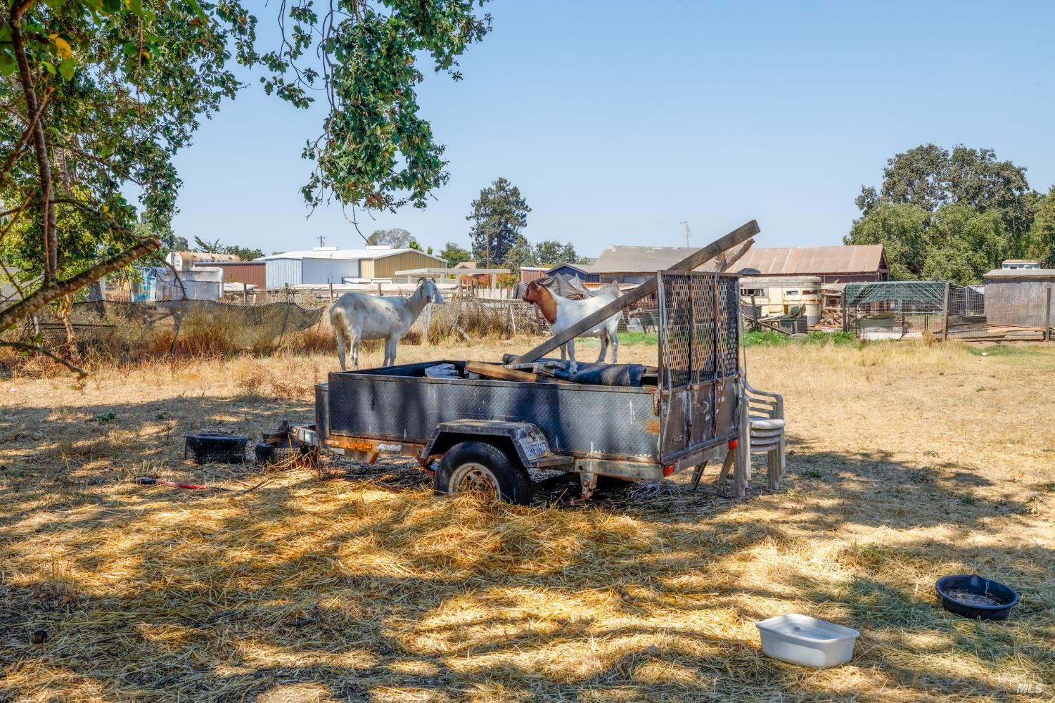 3827 Finley Avenue Santa Rosa CA 95407