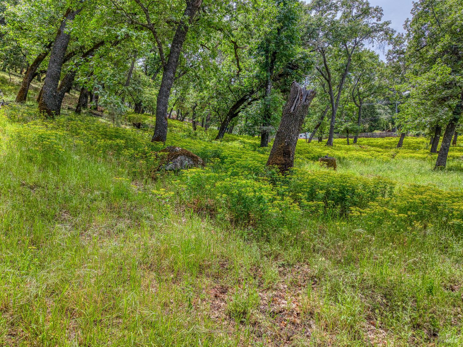 5290 Lake Boulevard Lower Lake CA 95457