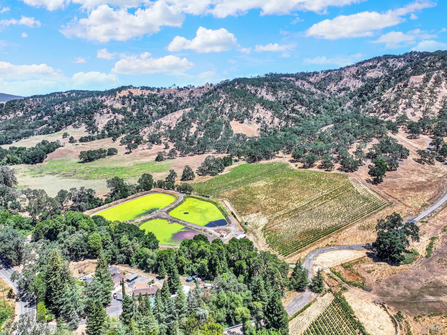 165 Country Club Lane Napa CA 94558