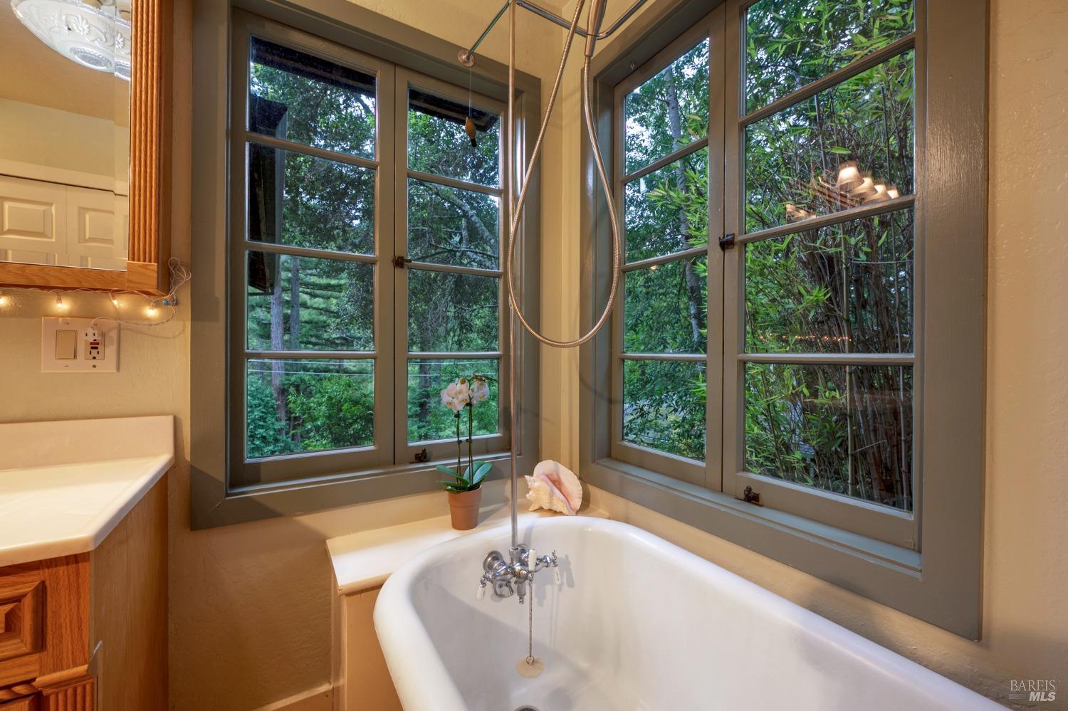14801 Canyon 4 Road Guerneville CA 95446