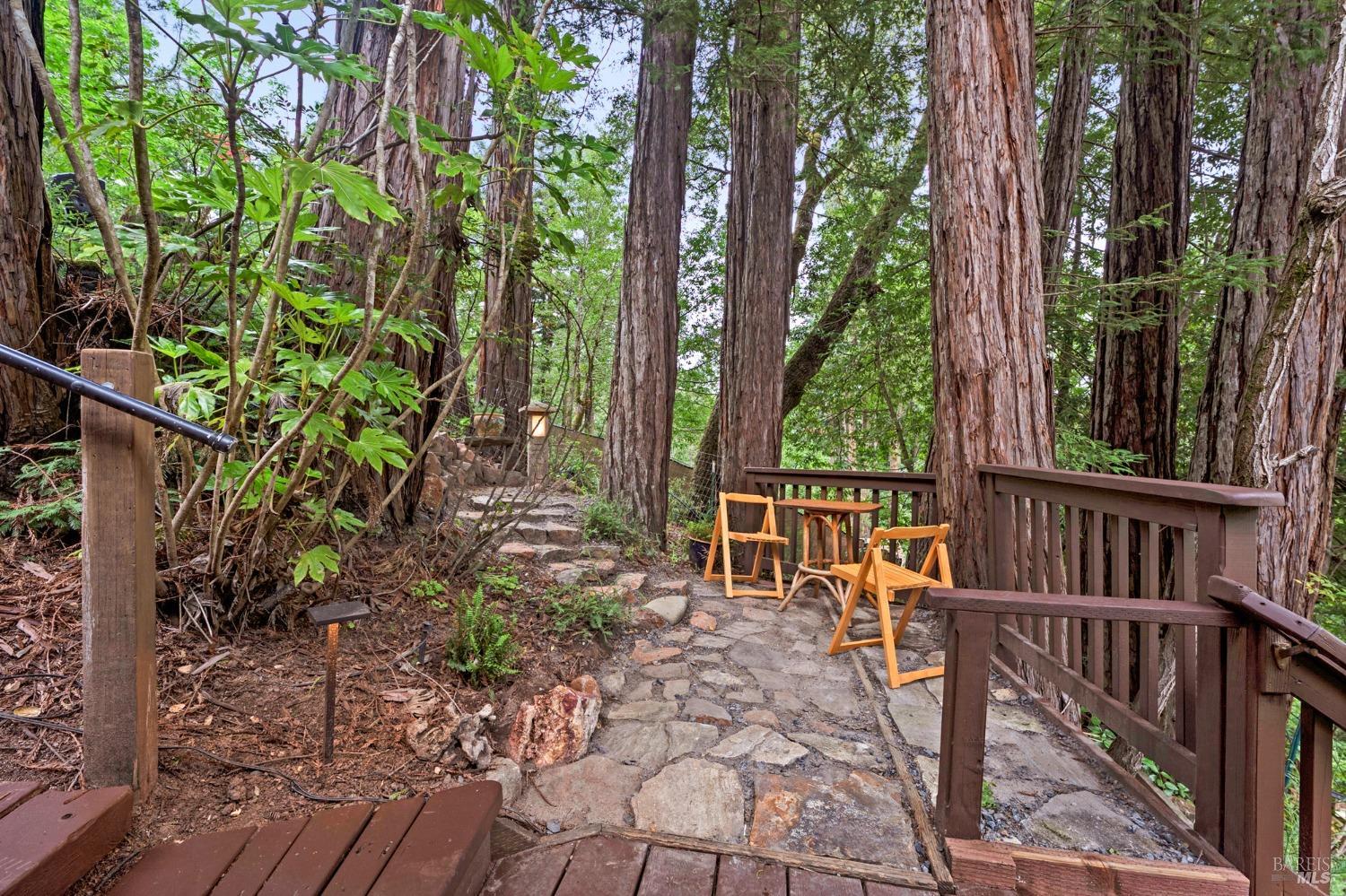 14801 Canyon 4 Road Guerneville CA 95446