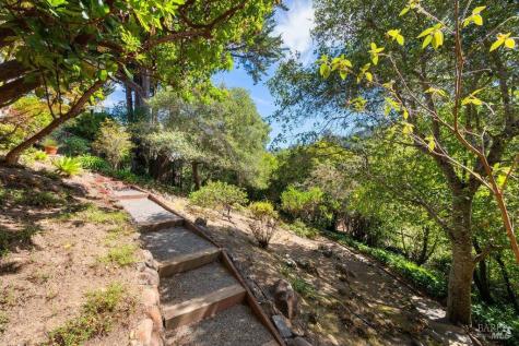 50 Summit Avenue Mill Valley CA 94941