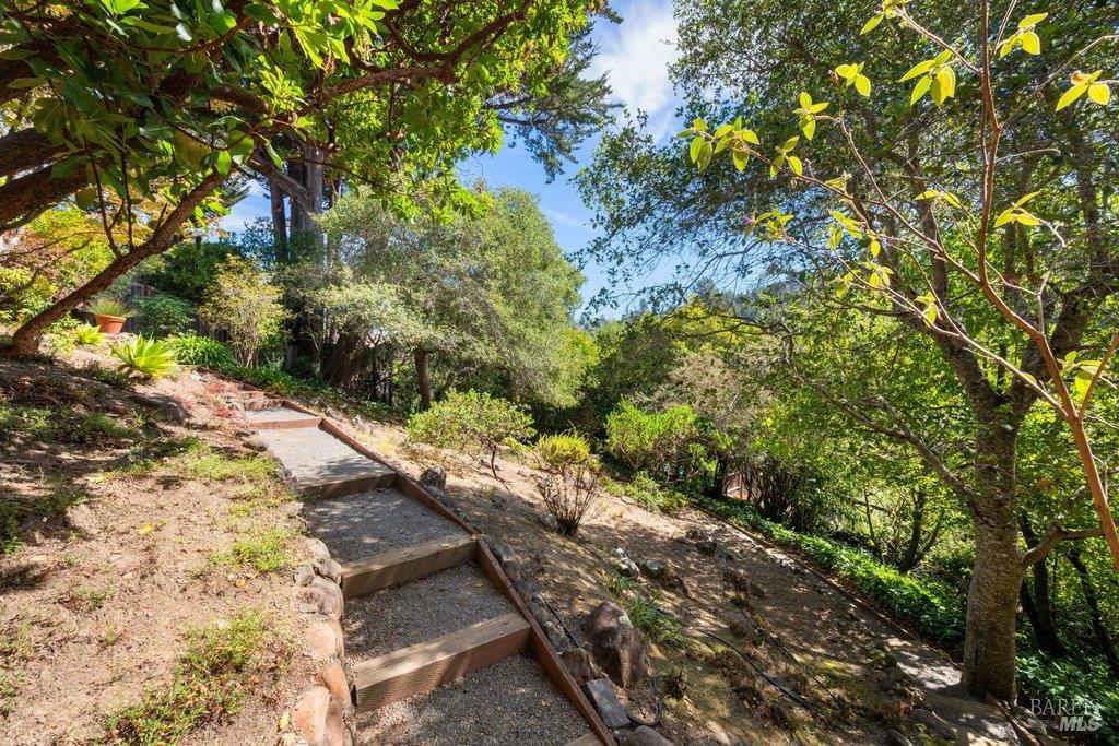 50 Summit Avenue Mill Valley CA 94941