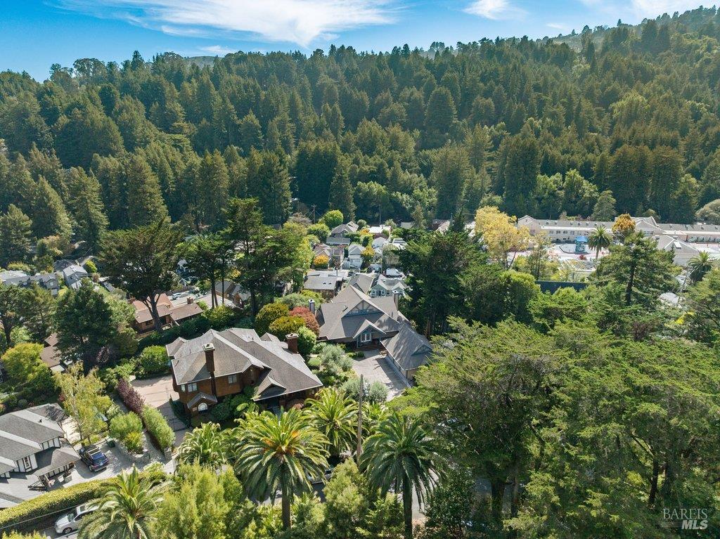 50 Summit Avenue Mill Valley CA 94941