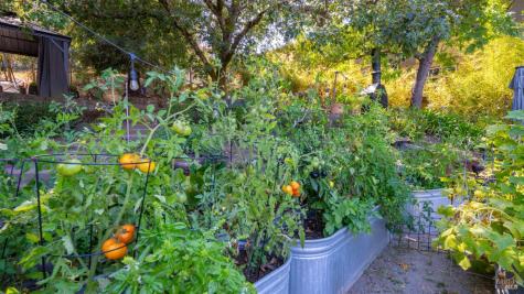 121 Belle View Avenue Petaluma CA 94952