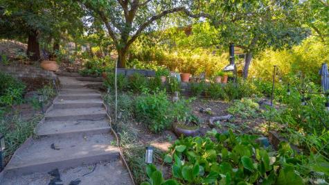 121 Belle View Avenue Petaluma CA 94952
