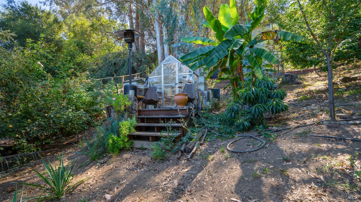 121 Belle View Avenue Petaluma CA 94952