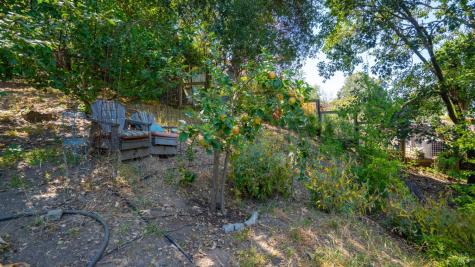 121 Belle View Avenue Petaluma CA 94952