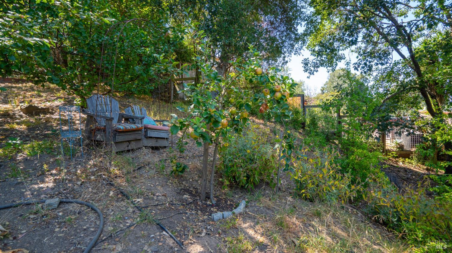 121 Belle View Avenue Petaluma CA 94952