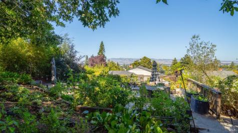 121 Belle View Avenue Petaluma CA 94952