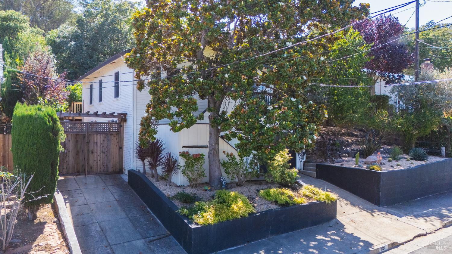 121 Belle View Avenue Petaluma CA 94952