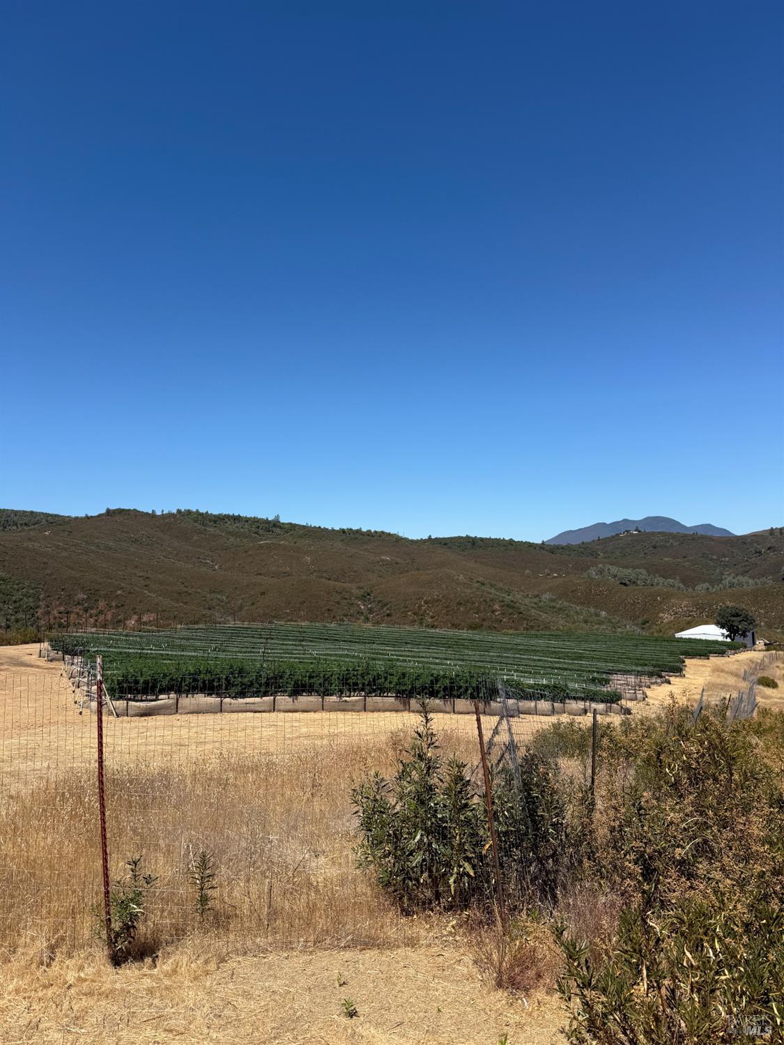 13200 Seigler Canyon Road Middletown CA 95461