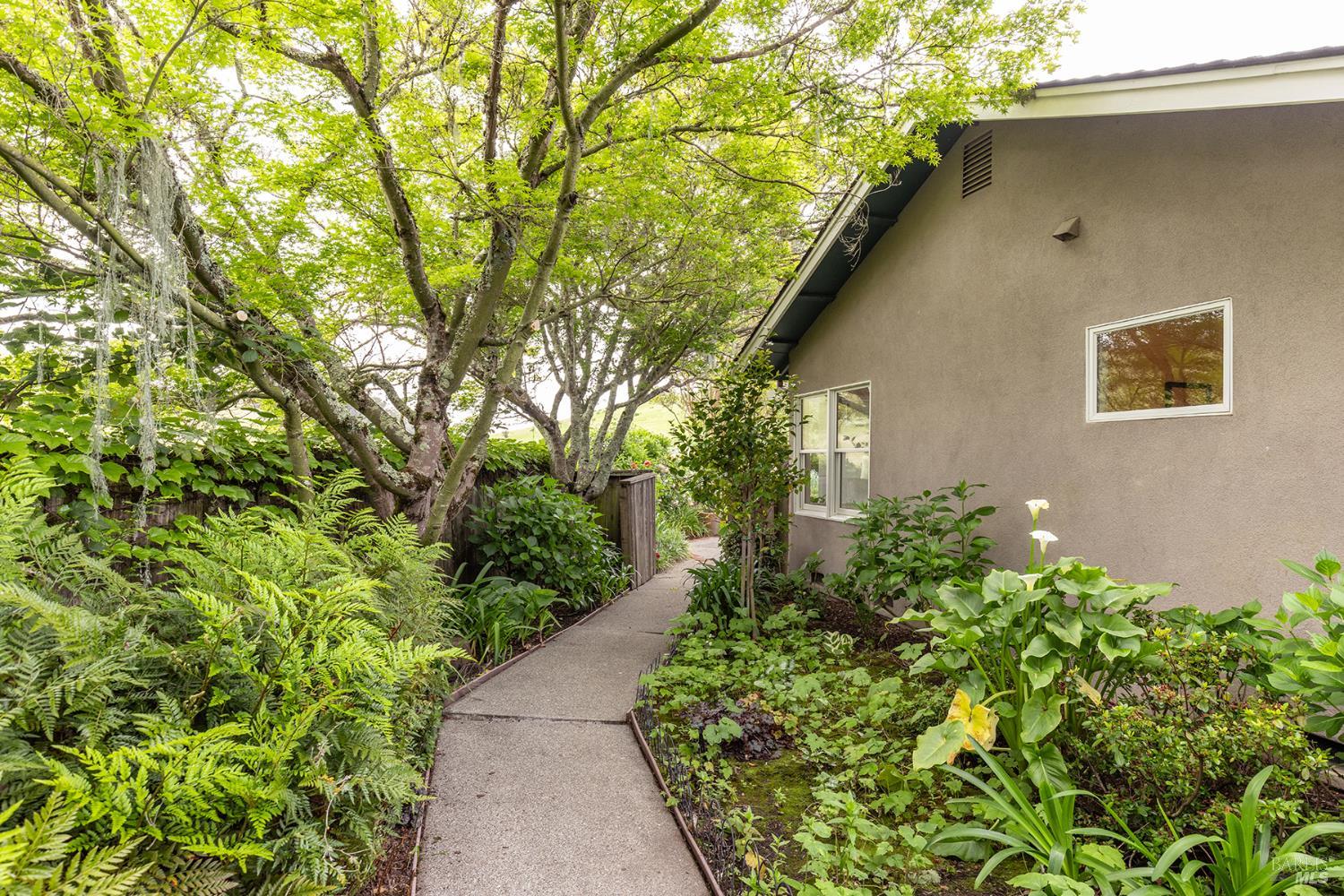 3318 David Drive Napa CA 94558