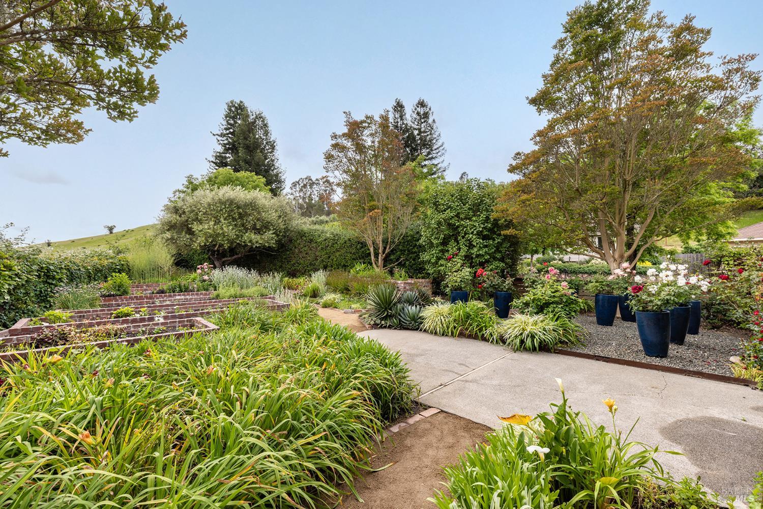 3318 David Drive Napa CA 94558
