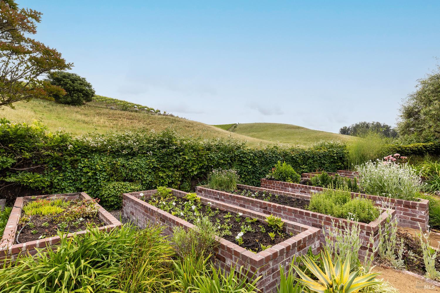 3318 David Drive Napa CA 94558