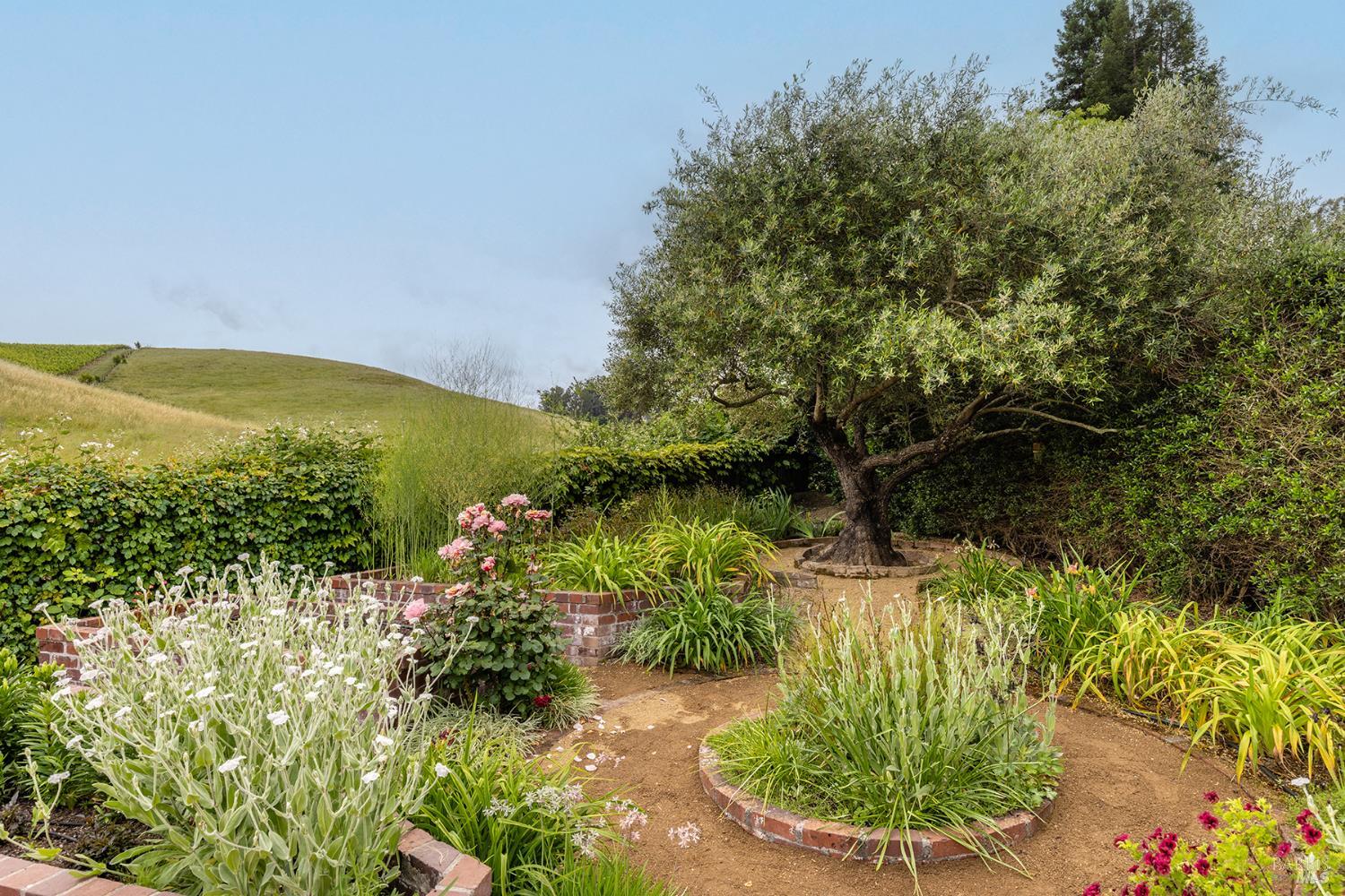 3318 David Drive Napa CA 94558
