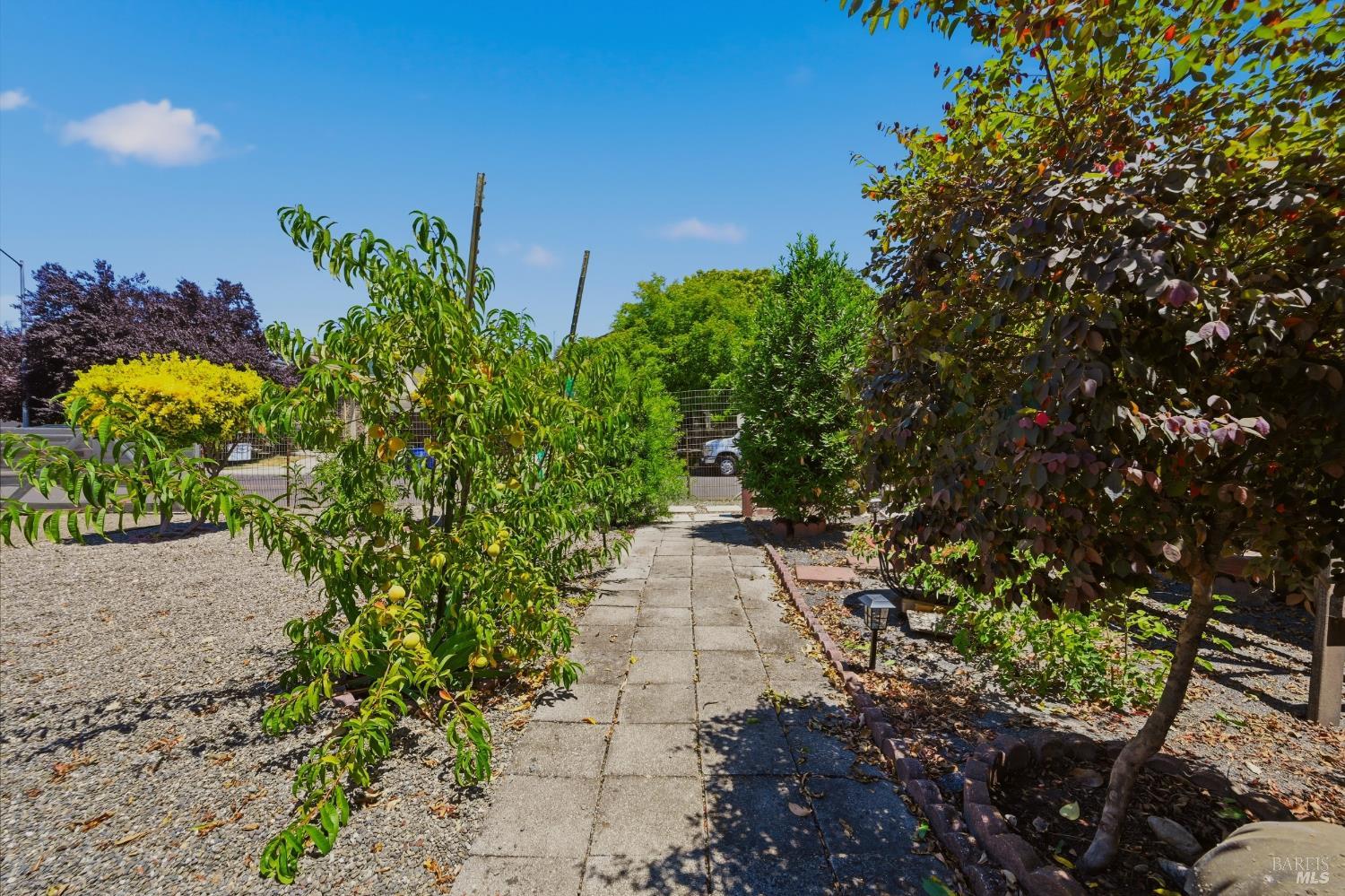 52 Mallard Court Napa CA 94559