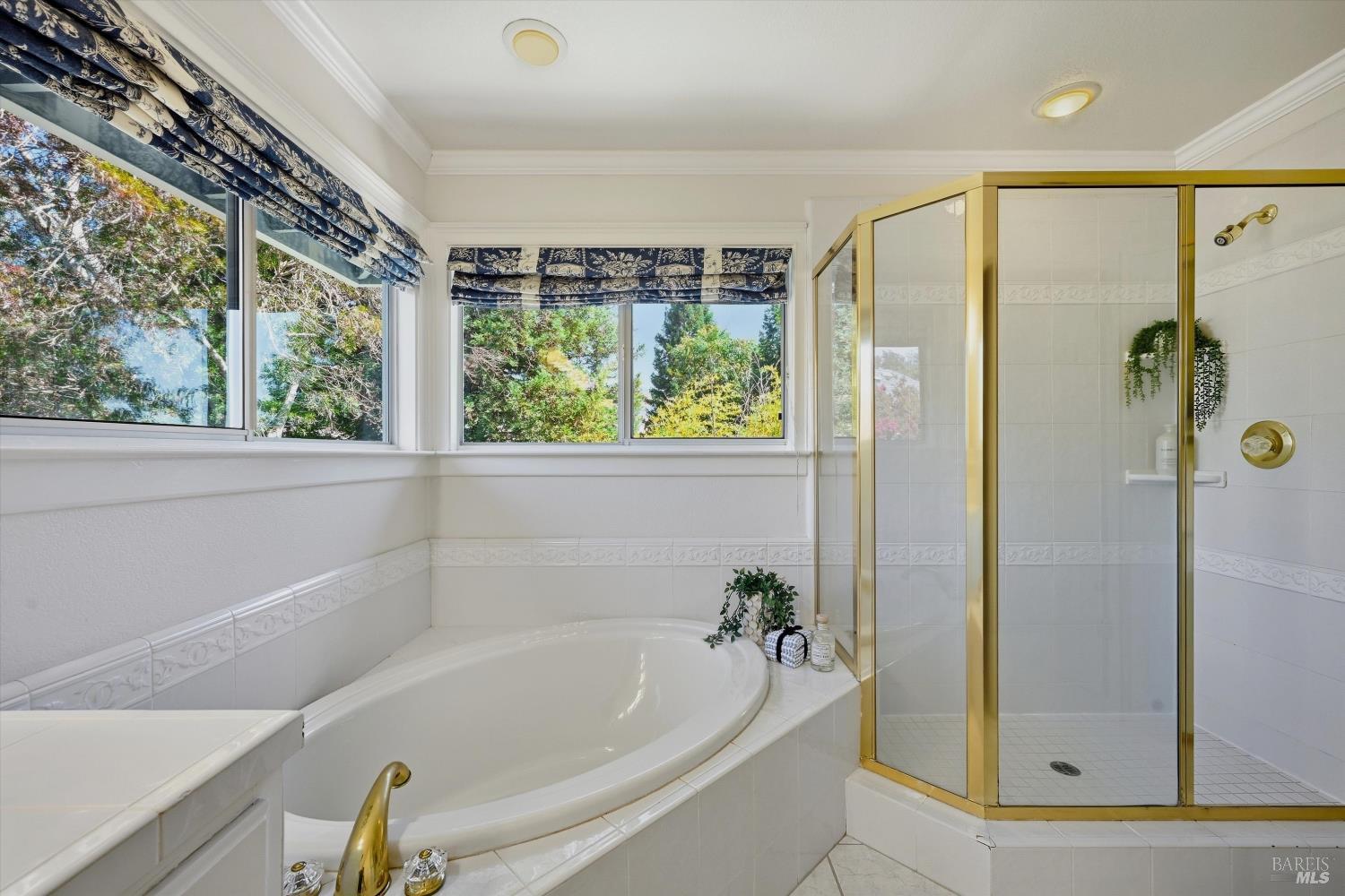 1514 Great Heron Drive Santa Rosa CA 95409