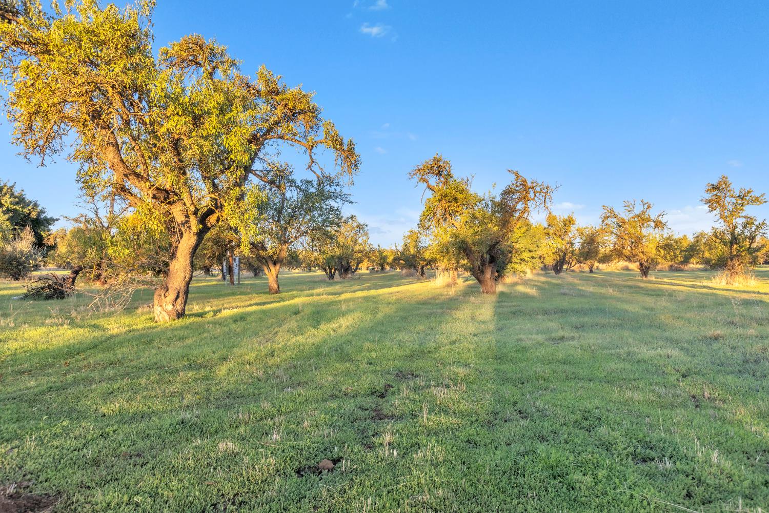 25752 State Highway 16 Esparto CA 95627