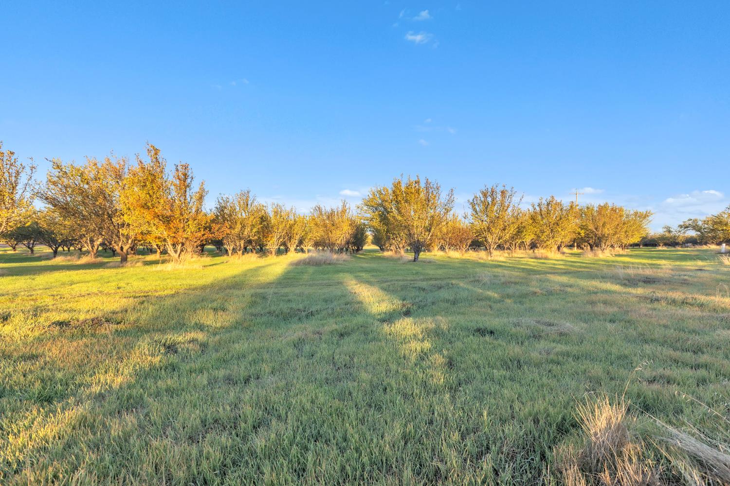 25752 State Highway 16 Esparto CA 95627