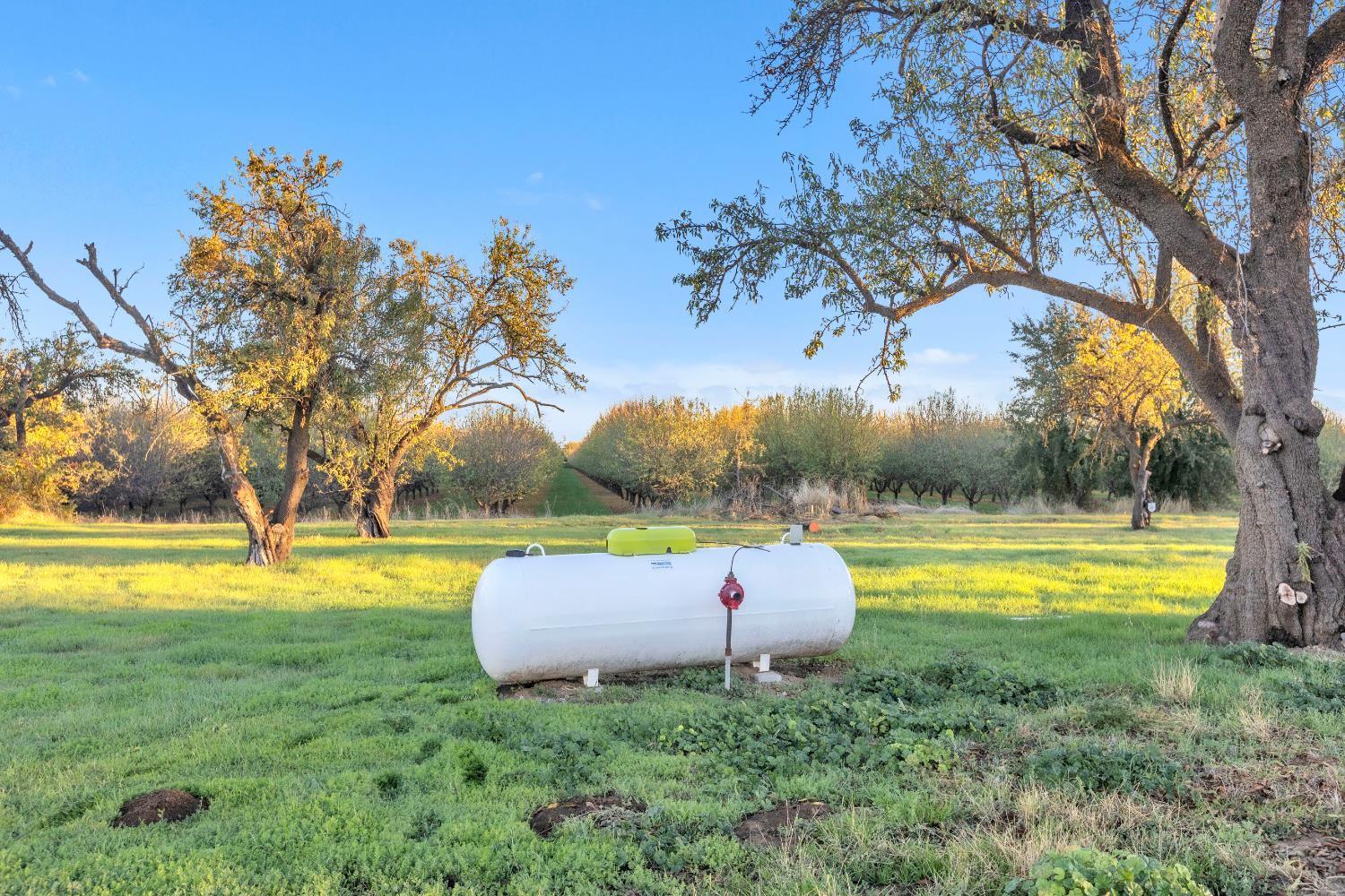 25752 State Highway 16 Esparto CA 95627