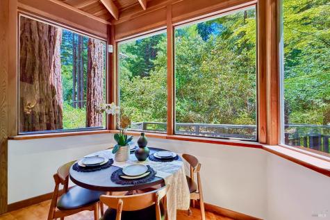 21565 Highland Terrace Monte Rio CA 95462