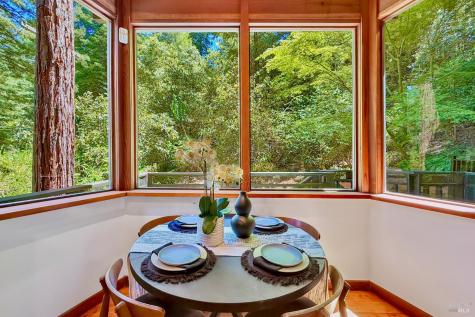 21565 Highland Terrace Monte Rio CA 95462