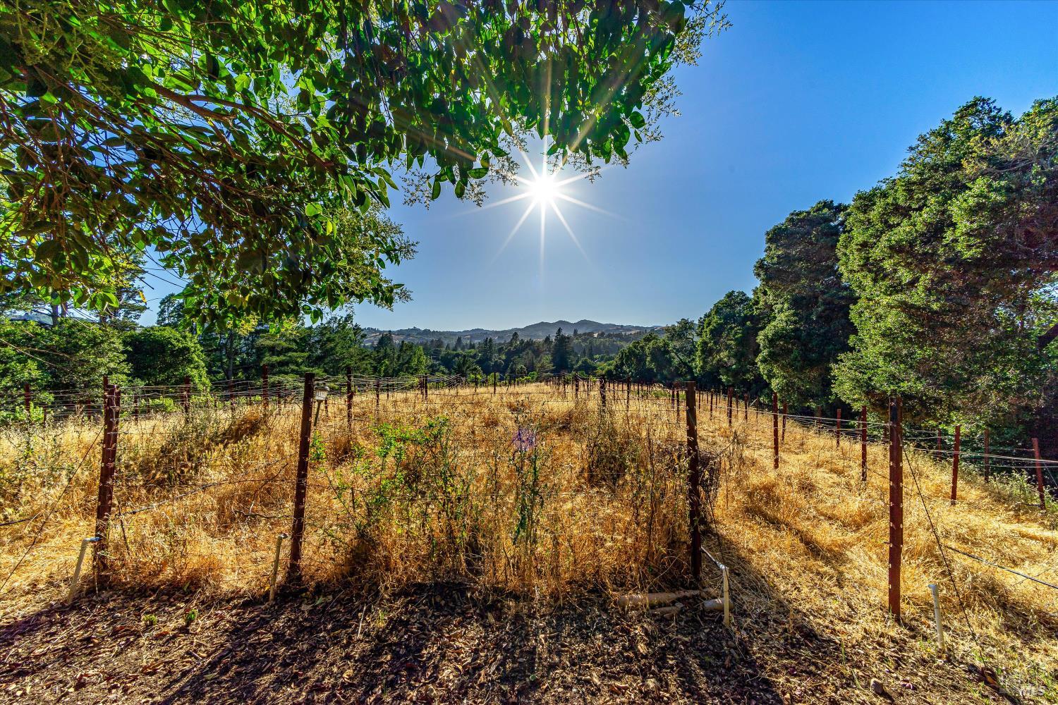 29 Forest Drive Napa CA 94558