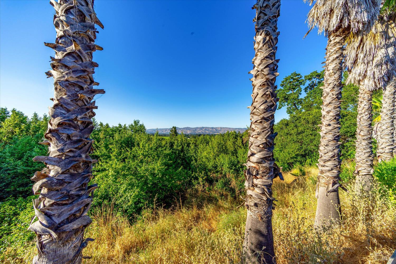 29 Forest Drive Napa CA 94558