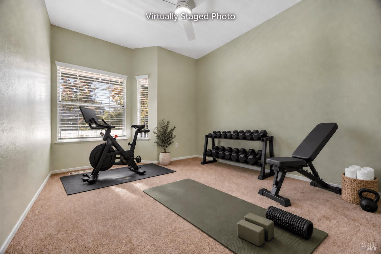 4041 Haven Court Sebastopol CA 95472
