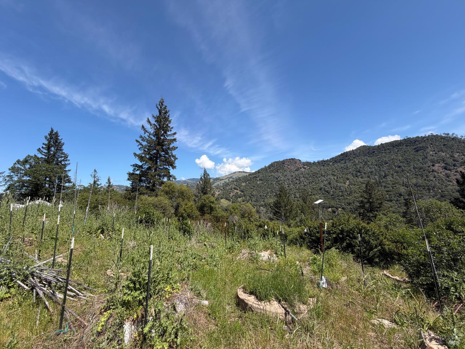 10150 Woodman Creek Road Laytonville CA 95428