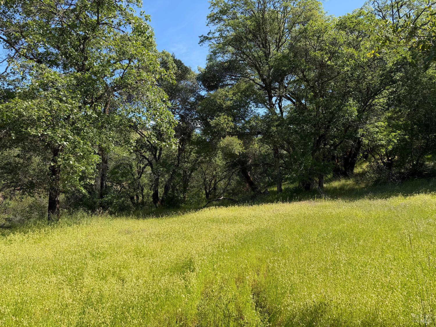 10150 Woodman Creek Road Laytonville CA 95428