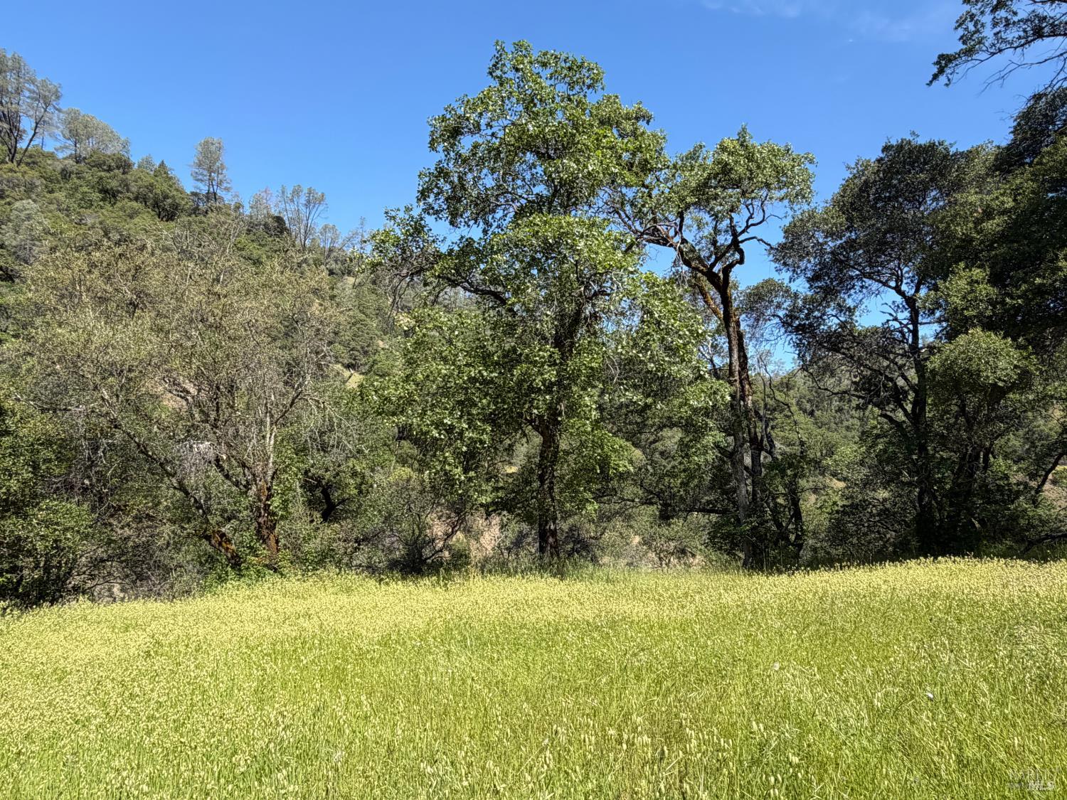 10150 Woodman Creek Road Laytonville CA 95428