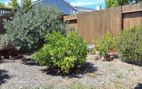 2543 Silver Spur Drive Santa Rosa CA 95407