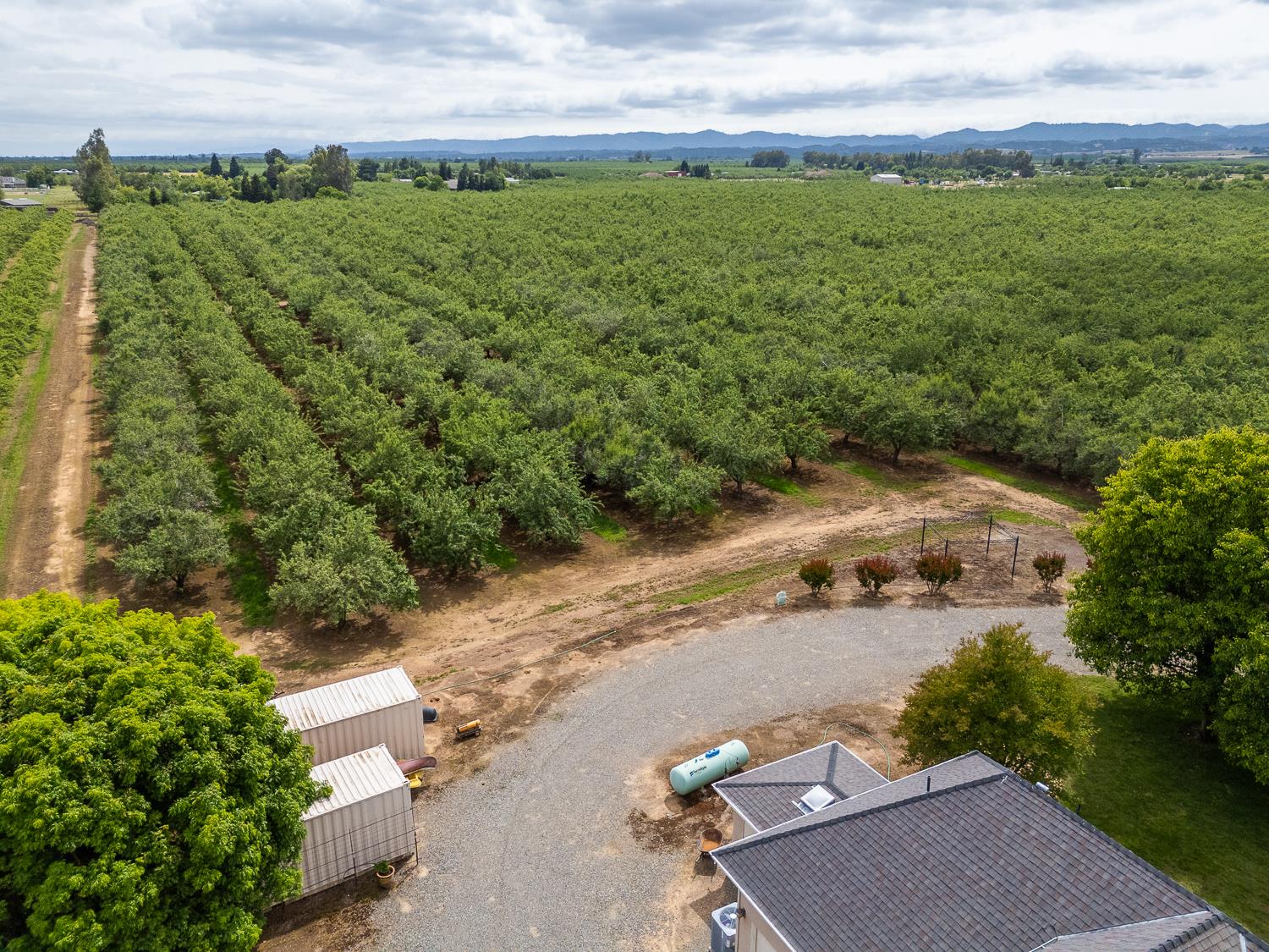 6640 Harrington Arbuckle CA 95912