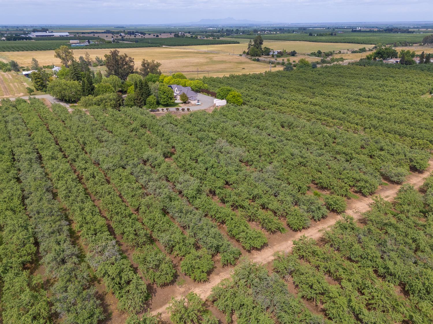 6640 Harrington Arbuckle CA 95912