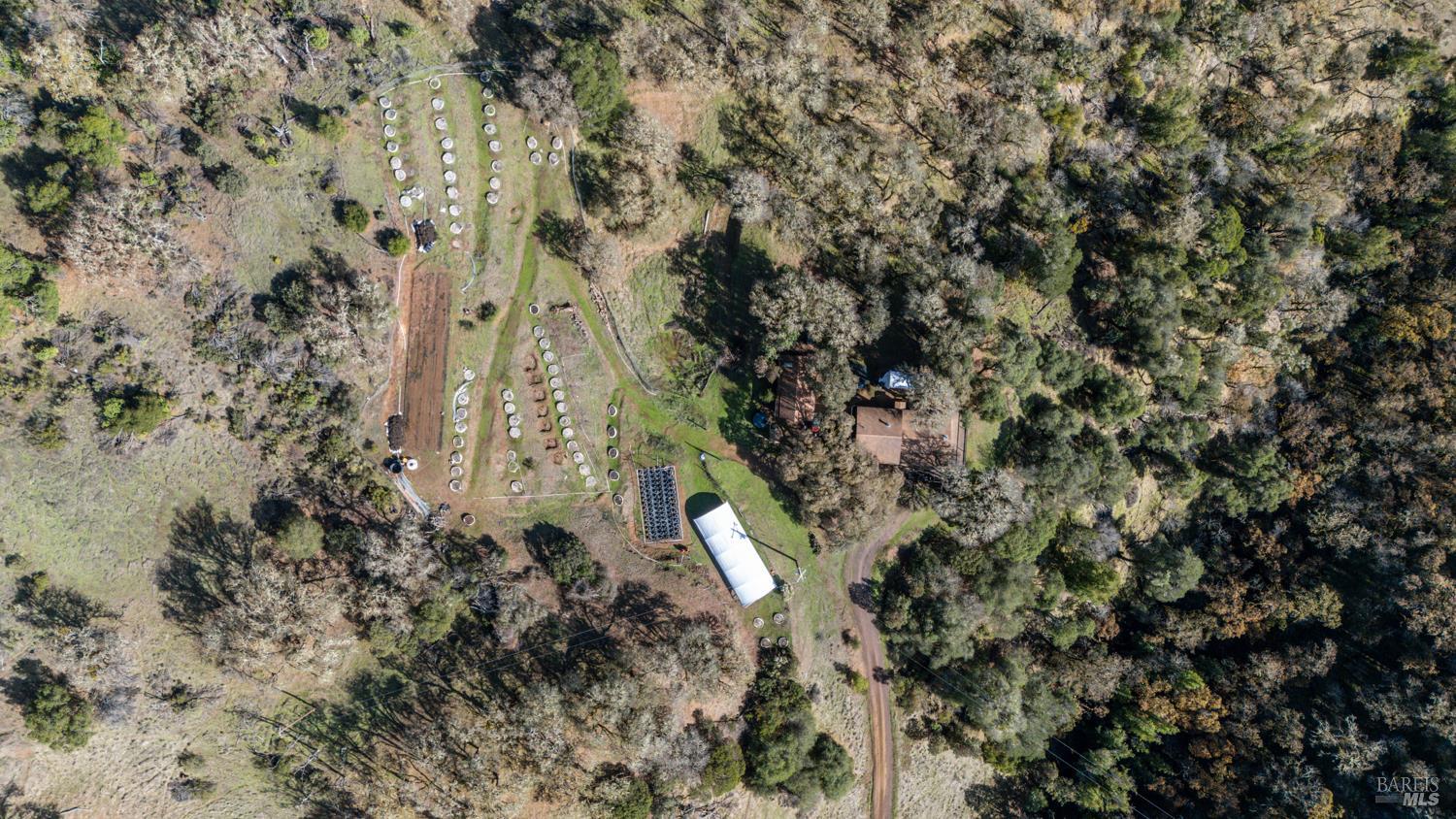 8500 Black Bart Trail Redwood Valley CA 95470