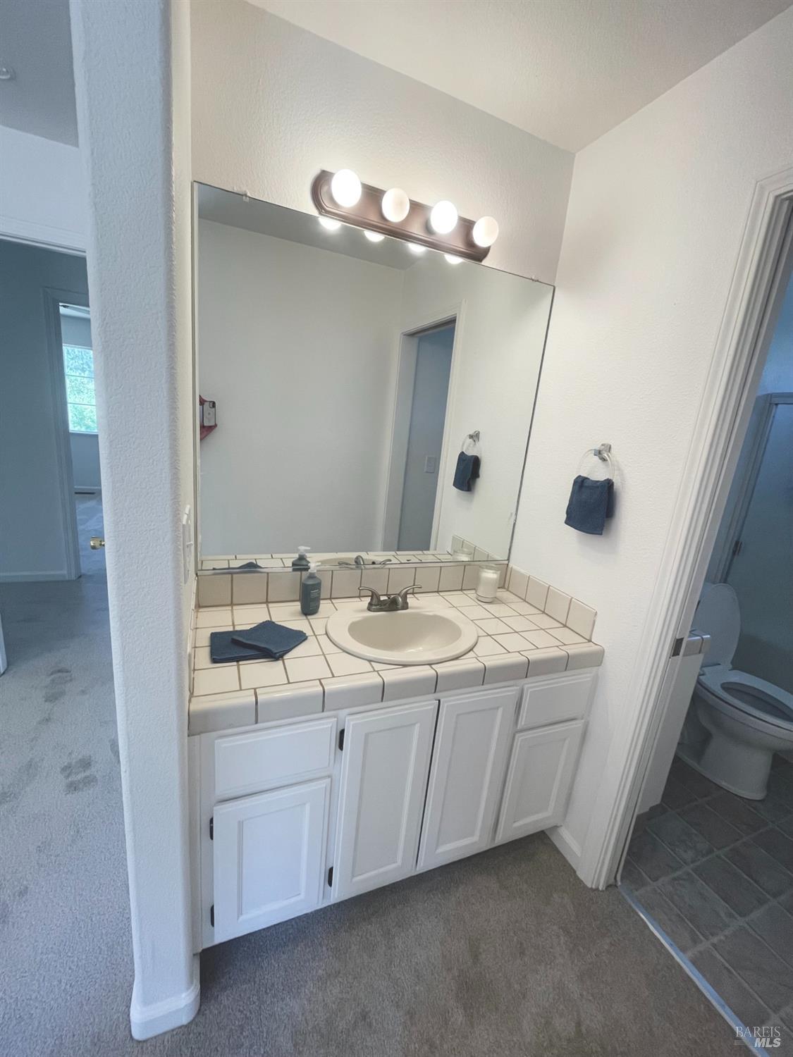 10324 Walnut Way Kelseyville CA 95451