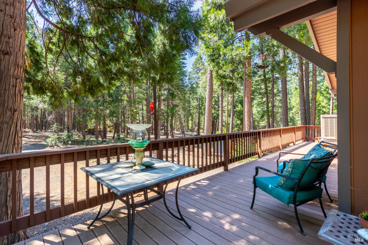 8308 Lost Mill Road Shingletown CA 96088