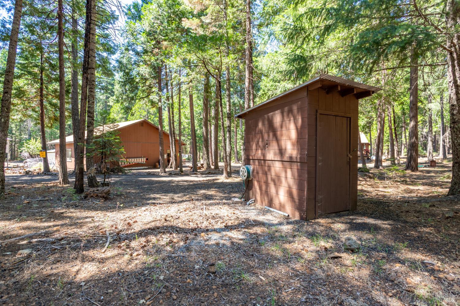 8308 Lost Mill Road Shingletown CA 96088