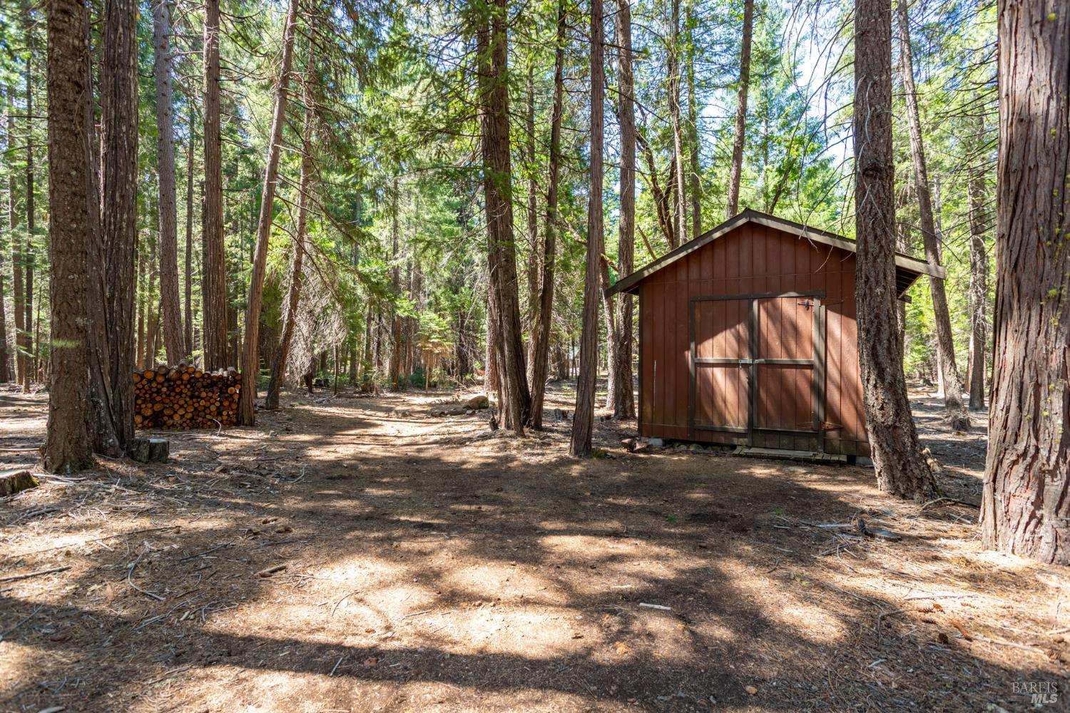 8308 Lost Mill Road Shingletown CA 96088
