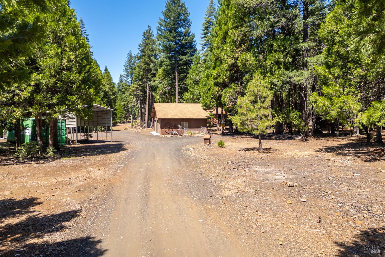 8308 Lost Mill Road Shingletown CA 96088
