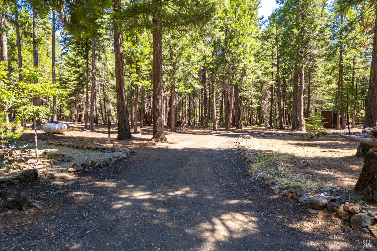 8308 Lost Mill Road Shingletown CA 96088