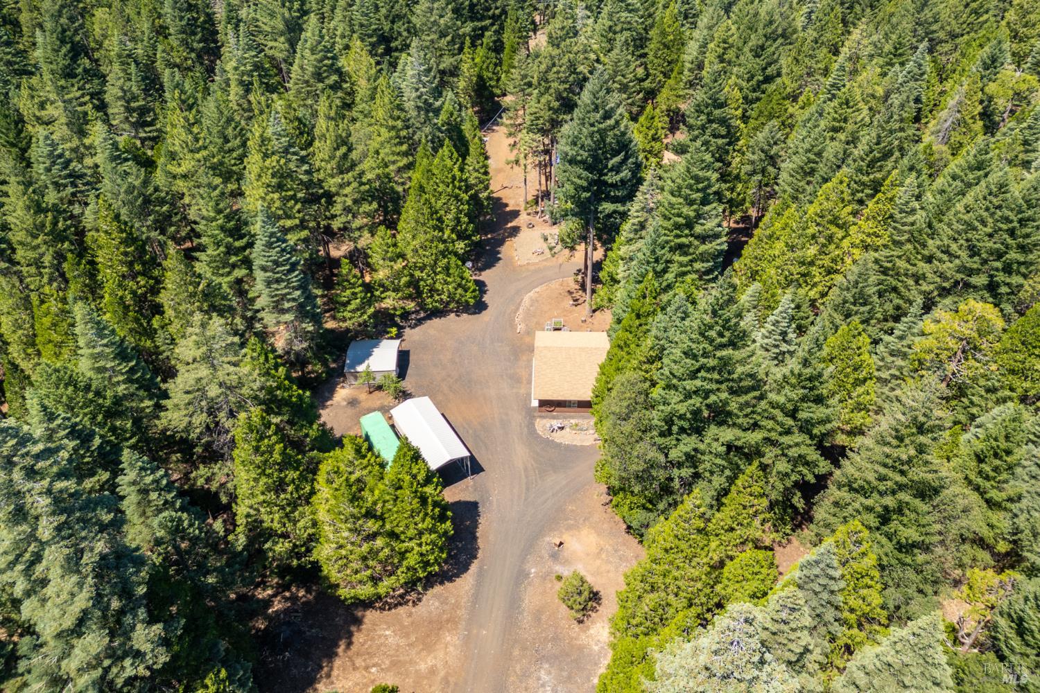 8308 Lost Mill Road Shingletown CA 96088