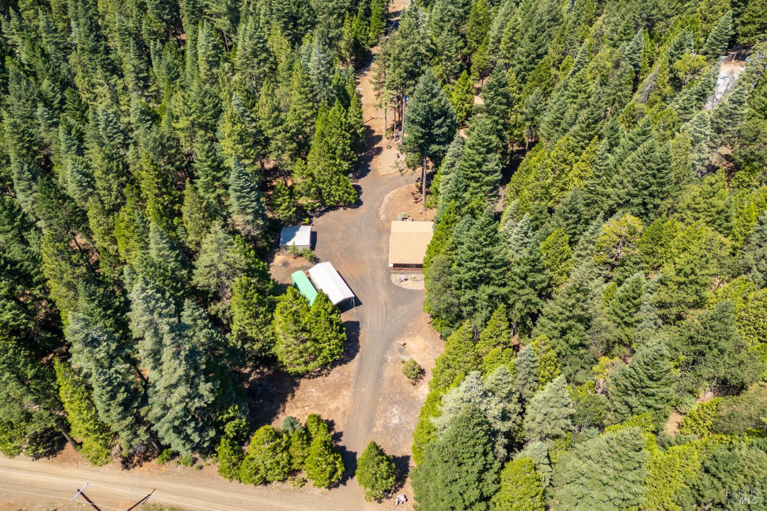 8308 Lost Mill Road Shingletown CA 96088