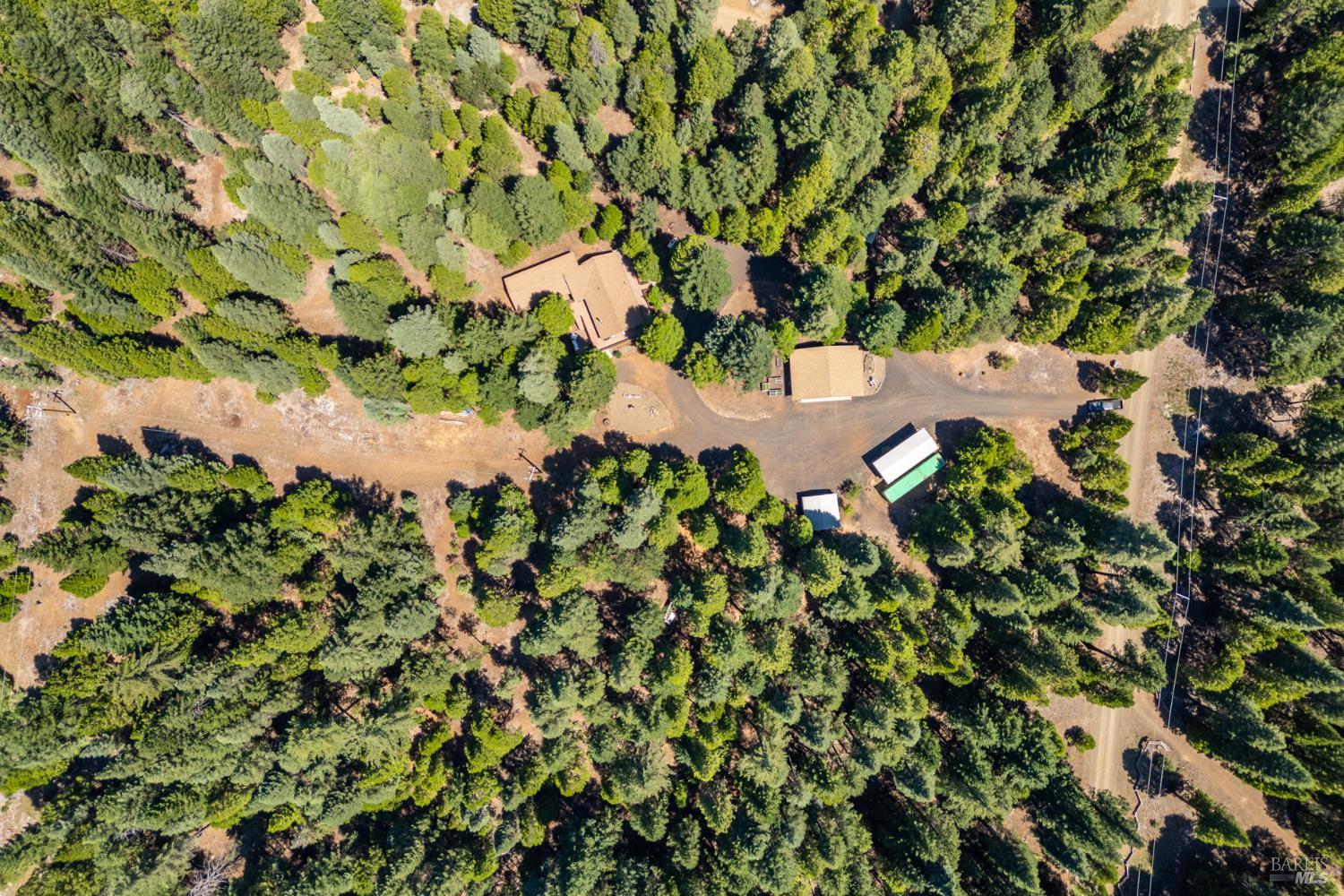 8308 Lost Mill Road Shingletown CA 96088