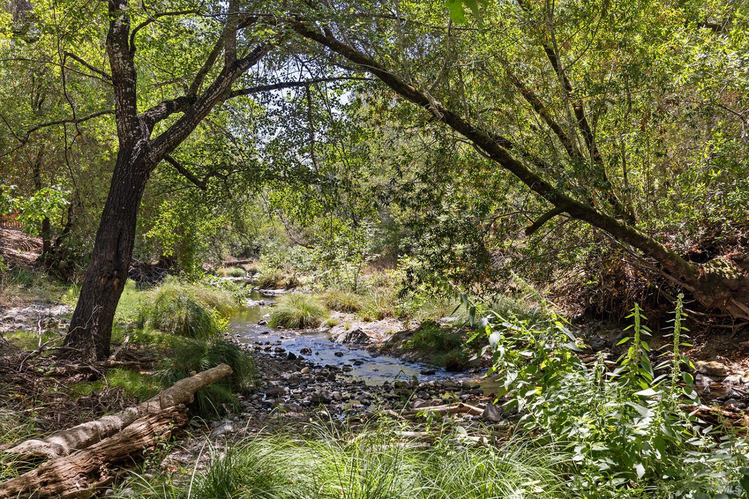 1595 Warm Springs Road Glen Ellen CA 95442