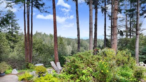 8950 Highway 116 Forestville CA 95436