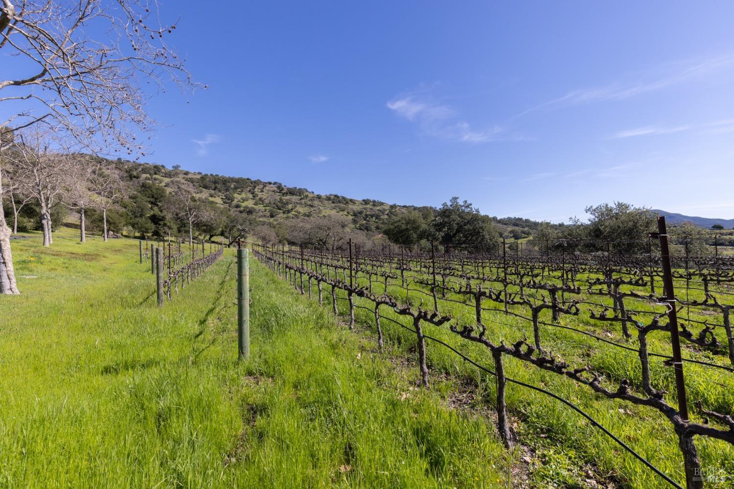 2300 Old Soda Springs Road Napa CA 94558